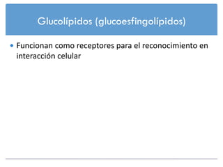 Glucolípidos (glucoesfingolípidos)

 Funcionan como receptores para el reconocimiento en
 interacción celular
 