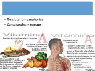  ß-caroteno = zanahorias
 Cantaxantina = tomate
 