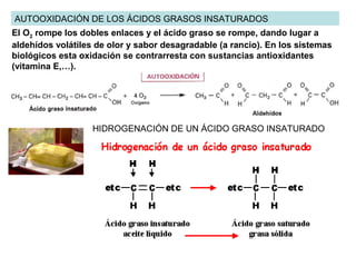 4) Reaccionan con los alcoholes (-OH) formando ésteres 
Esterificación
ESTERIFICACIÓN: reaccionan –COOH con ALCOHOLES formando ÉSTERES y liberando H2O
GlicerinaÁcidos grasos
+
+
+
+
Esterificación
R1 COOH
R2 COOH
R3 COOH
CH2
CH
CH2
HO
HO
HO
Triacilglicerol
+ 3 H2O
CH2
CH
CH2
O
O
O
R1
R2
R3
CO
CO
CO
SAPONIFICACIÓN:
reacción entre un LÍPIDO SAPONIFICABLE y una BASE formando SALES DEL ÁCIDO GRASO
(Jabón)
Triacilglicerol
CH2
CH
CH2
O
O
O
R1
R2
R3
CO
CO
CO
+ 3 Na OH
Sales de los ácidos grasos
Na
Na
Na
O
O
O
R1
R2
R3
CO
CO
CO
CH2
CH
CH2
HO
HO
HO
+
Saponificación
Glicerina+
5) Los ésteres en un medio alcalino se hidrolizan formando (sales de Na+
y K+
) + (-OH)  Saponificación
 