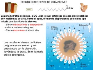 AUTOOXIDACIÓN DE LOS ÁCIDOS GRASOS INSATURADOS
El O2 rompe los dobles enlaces y el ácido graso se rompe, dando lugar a
aldehídos volátiles de olor y sabor desagradable (a rancio). En los sistemas
biológicos esta oxidación se contrarresta con sustancias antioxidantes
(vitamina E,…).
HIDROGENACIÓN DE UN ÁCIDO GRASO INSATURADO
 