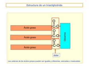 La zona hidrófila se ioniza, -COO-, por lo cual establece enlaces electrostáticos
con moléculas polares, como el agua, formando dispersiones coloidales tipo
micela con dos tipos de efectos:
- Efecto emulsionante o detergente si
encierra partículas de grasa.
- Efecto espumante si atrapa aire.
Las micelas encierran partículas
de grasa en su interior, y son
arrastradas por la disolución,
llevándose la grasa. Es el llamado
efecto detergente.
EFECTO DETERGENTE DE LOS JABONES
 