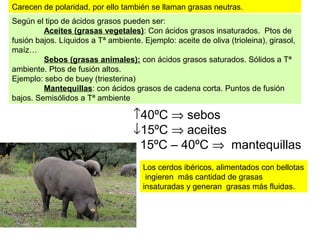 Estructura de un triacilglicérido
-C-O
=
O
CH2
CH
CH2
-C-O
=
O
-C-O
=
O
Glicerina
Ácido graso
Ácido graso
Ácido graso
éster
Las cadenas de los ácidos grasos pueden ser iguales o diferentes, saturadas o insaturadas.
 