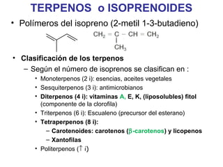 LÍPIDOS INSAPONIFICALBLES
Tres familias o grupos:
• 1.- Derivados del isopreno: TERPENOS o
ISOPRENOIDES
• 2.- Derivados del esterano: ESTEROIDES
• 3.- Derivados del prostanoato o ácido
prostanóico: EICOSANOIDES o sustancias
relacionadas con las PROSTAGLANDINAS
 