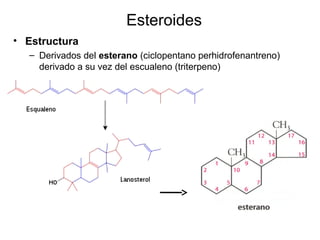 • Xantofila, β-caroteno y vitamina A
 