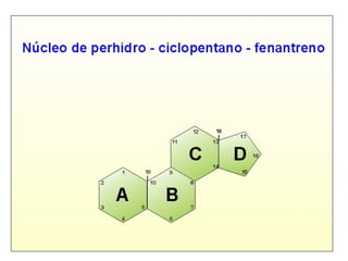 Monoterpenos ( 2 isoprenos, 10 C, C10H16). Esencias vegetales, volátiles, de
aroma penetrante: anetol 8esencia de anís), limonero (de cítricos), pinero (trementina),
alcanfor,
MENTOL
GERANIOL EUCALIPTOL
Politerpenos Ejemplo caucho, polímero formado a partir de los terpenos que
contiene el látex del árbol Hevea brasilensis
 