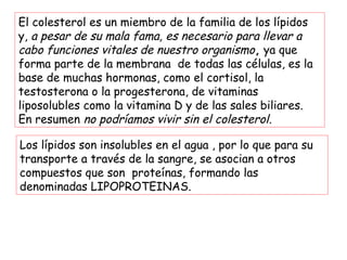 – Esteroles
• El grupo más numeroso es el de los esteroles, en
los que el esterano lleva un grupo hidroxilo unido
al C3 y una cadena carbonada ramificada en el
C17.
 