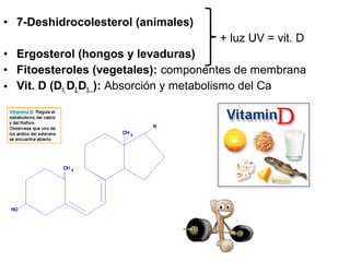 – Otras Hormonas: (suprarrenales)
• Aldosterona (reabsorción del Na)
• Cortisol (metabolismo de glúcidos)
 
