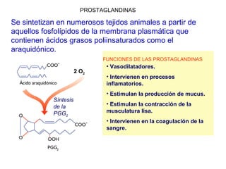 EICOSANOIDES
• Los eicosanoides son derivados de ácidos grasos de 20 C
• Como las hormonas tienen efectos a muy bajas
concentraciones, pero a diferencia de éstas, no son
transportados por la sangre.
• Actúan en el tejido dónde son producidos.
• Su producción se inhibe con la presencia del ácido
acetilsalicílico.
 