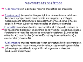 • Prostaglandinas y Tromboxanos se forman a partir del
ácido araquidónico gracias a la ciclooxigenasa.
• La aspirina es un antiinflamatorio que inhibe este
enzima.
• Los tromboxanos, son responsables de la agregación de
las plaquetas interviniendo en la coagulación de la
sangre.
• Los leucotrienos se producen por la acción del enzima
Lipooxigenasa. Intervienen en la respuesta alérgica y
anafiláctica.
• Los tres intervienen en la inflamación bien como
agonistas o como antagonistas de tal manera que
modulan la respuesta inflamatoria.
 