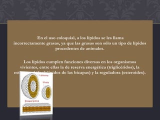 En el uso coloquial, a los lípidos se les llama
incorrectamente grasas, ya que las grasas son sólo un tipo de lípidos
                    procedentes de animales.

     Los lípidos cumplen funciones diversas en los organismos
   vivientes, entre ellas la de reserva energética (triglicéridos), la
estructural (fosfolípidos de las bicapas) y la reguladora (esteroides).
 