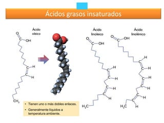 Ácidos grasos insaturados




• Tienen uno o más dobles enlaces.
• Generalmente líquidos a
  temperatura ambiente.
 