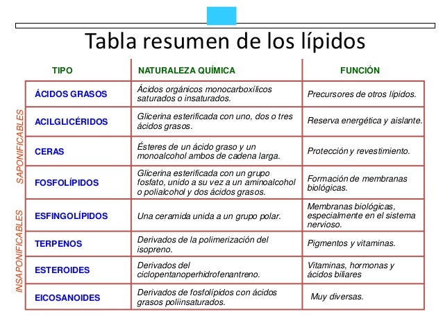 Lípidos
