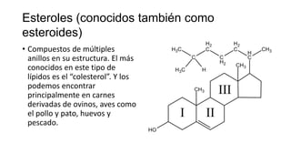 Esteroles (conocidos también como
esteroides)
• Compuestos de múltiples
  anillos en su estructura. El más
  conocidos en este tipo de
  lípidos es el “colesterol”. Y los
  podemos encontrar
  principalmente en carnes
  derivadas de ovinos, aves como
  el pollo y pato, huevos y
  pescado.
 