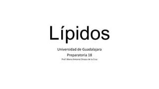 Lípidos
Universidad de Guadalajara
     Preparatoria 18
  Prof. Marco Antonio Orozco de la Cruz
 
