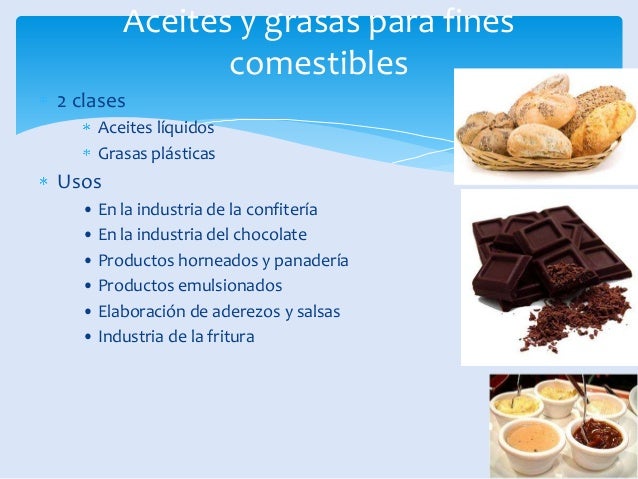 Lípidos