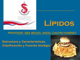Lípidos
   PROFESOR: QBA MIGUEL ANGEL CASTRO RAMÍREZ


Estructura y Características,
Clasificación y Función biológica.
 