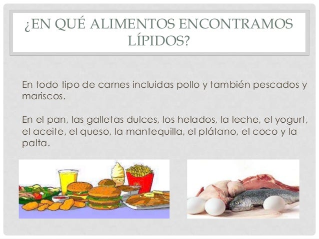 Lípidos