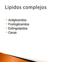  Acilgliceridos
 Fosfogliceridos
 Esfingolipidos
 Ceras
 