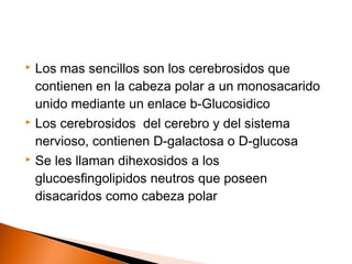  Los mas sencillos son los cerebrosidos que
contienen en la cabeza polar a un monosacarido
unido mediante un enlace b-Glucosidico
 Los cerebrosidos del cerebro y del sistema
nervioso, contienen D-galactosa o D-glucosa
 Se les llaman dihexosidos a los
glucoesfingolipidos neutros que poseen
disacaridos como cabeza polar
 