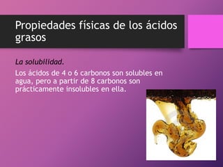 Propiedades físicas de los ácidos
grasos
La solubilidad.
Los ácidos de 4 o 6 carbonos son solubles en
agua, pero a partir de 8 carbonos son
prácticamente insolubles en ella.

 