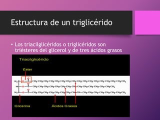 Estructura de un triglicérido
• Los triacilglicéridos o triglicéridos son
triésteres del glicerol y de tres ácidos grasos

 