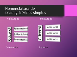 Nomenclatura de
triacilglicéridos simples
• Saturado

Tri-estear-ina

insaturado

Tri-ole-ina

 