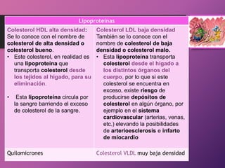 Lipoproteínas
Colesterol HDL alta densidad:
Se lo conoce con el nombre de
colesterol de alta densidad o
colesterol bueno.
• Este colesterol, en realidad es
una lipoproteína que
transporta colesterol desde
los tejidos al hígado, para su
eliminación.
•

Esta lipoproteína circula por
la sangre barriendo el exceso
de colesterol de la sangre.

Quilomicrones

Colesterol LDL baja densidad
También se lo conoce con el
nombre de colesterol de baja
densidad o colesterol malo.
• Esta lipoproteína transporta
colesterol desde el hígado a
los distintos órganos del
cuerpo, por lo que si este
colesterol se encuentra en
exceso, existe riesgo de
producirse depósitos de
colesterol en algún órgano, por
ejemplo en el sistema
cardiovascular (arterias, venas,
etc.) elevando la posibilidades
de arterioesclerosis e infarto
de miocardio
Colesterol VLDL muy baja densidad

 