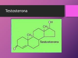 Testosterona

 