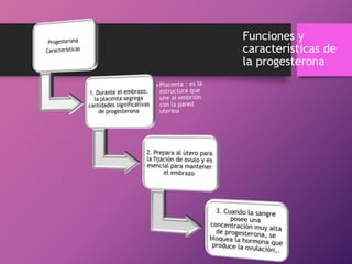 Funciones y
características de
la progesterona

 