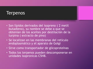 Terpenos
• Son lípidos derivados del isopreno ( 2 metil
butadieno), su nombre se debe a que se
obtenían de los aceites por destilación de la
turpina ( extracto de pino)
• Se localizan en las membranas del retículo
endoplasmático y el aparato de Golgi
• Sirve como transportador de glicoproteínas
• Todos los terpenos pueden descomponerse en
unidades isopronicas C5H8.

 