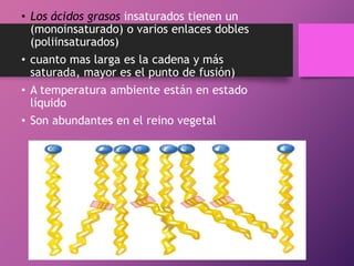 • Los ácidos grasos insaturados tienen un
(monoinsaturado) o varios enlaces dobles
(poliinsaturados)
• cuanto mas larga es la cadena y más
saturada, mayor es el punto de fusión)

• A temperatura ambiente están en estado
líquido
• Son abundantes en el reino vegetal

 