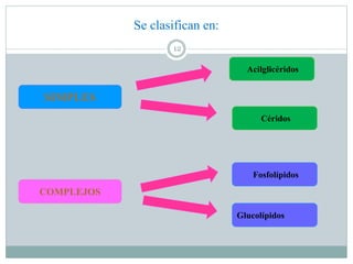 Se clasifican en:
12
SIMPLES
COMPLEJOS
Céridos
Acilglicéridos
Fosfolípidos
Glucolípidos
 