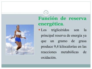 15
Función de reserva
energética.
 Los triglicéridos son la
principal reserva de energía ya
que un gramo de grasa
produce 9,4 kilocalorías en las
reacciones metabólicas de
oxidación.
 