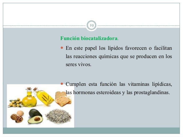 LípidosNutrición.