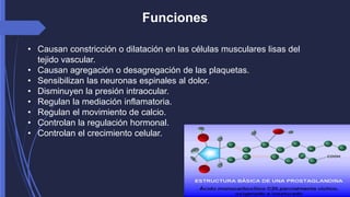 Funciones 
• Causan constricción o dilatación en las células musculares lisas del 
tejido vascular. 
• Causan agregación o desagregación de las plaquetas. 
• Sensibilizan las neuronas espinales al dolor. 
• Disminuyen la presión intraocular. 
• Regulan la mediación inflamatoria. 
• Regulan el movimiento de calcio. 
• Controlan la regulación hormonal. 
• Controlan el crecimiento celular. 
 