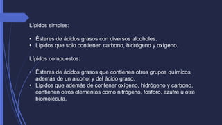 Lípidos simples: 
• Ésteres de ácidos grasos con diversos alcoholes. 
• Lípidos que solo contienen carbono, hidrógeno y oxígeno. 
Lípidos compuestos: 
• Ésteres de ácidos grasos que contienen otros grupos químicos 
además de un alcohol y del ácido graso. 
• Lípidos que además de contener oxígeno, hidrógeno y carbono, 
contienen otros elementos como nitrógeno, fosforo, azufre u otra 
biomolécula. 
 