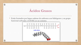 Ácidos Grasos
• Están formados por largas cadenas de carbonos con hidrógenos y un grupo
funcional carboxilo (-COOH) en un extremo.