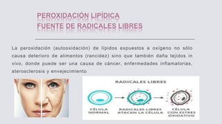 La peroxidación (autooxidación) de lípidos expuestos a oxígeno no sólo
causa deterioro de alimentos (rancidez) sino que también daña tejidos in
vivo, donde puede ser una causa de cáncer, enfermedades inflamatorias,
aterosclerosis y envejecimiento
 