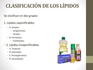 CLASIFICACIÓN DE LOS LÍPIDOS
Se clasifican en dos grupos
1. Lípidos saponificables
• A. Simples
• Acilglicéridos
• Céridos
• B. Complejos
• Fosfolípidos
• 2. Lípidos insaponificables
• A. Terpenos
• B. Esteroides
• C. Prostaglandinas
• D. Glucolípidos
 