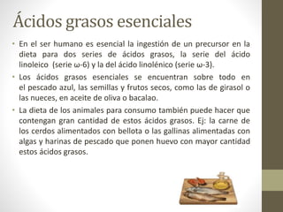 Ácidos grasos esenciales
• En el ser humano es esencial la ingestión de un precursor en la
dieta para dos series de ácidos grasos, la serie del ácido
linoleico (serie ω-6) y la del ácido linolénico (serie ω-3).
• Los ácidos grasos esenciales se encuentran sobre todo en
el pescado azul, las semillas y frutos secos, como las de girasol o
las nueces, en aceite de oliva o bacalao.
• La dieta de los animales para consumo también puede hacer que
contengan gran cantidad de estos ácidos grasos. Ej: la carne de
los cerdos alimentados con bellota o las gallinas alimentadas con
algas y harinas de pescado que ponen huevo con mayor cantidad
estos ácidos grasos.
 