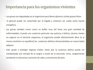 Importanciapara los organismosvivientes
• Las grasas son degradadas en el organismo para liberar glicerol y ácidos grasos libres.
• El glicerol puede ser convertido por el hígado y entonces ser usado como fuente
energética.
• Las grasas también sirven como un buffer muy útil hacia una gran cantidad de
enfermedades. Cuando una sustancia particular sea química o biótica, alcanza niveles
no seguros en el torrente sanguíneo, el organismo puede efectivamente diluir (o al
menos mantener un equilibrio) las sustancias dañinas almacenándolas en nuevo tejido
adiposo.
• Esto ayuda a proteger órganos vitales, hasta que la sustancia dañina pueda ser
metabolizada y/o retirada de la sangre a través de la excreción, orina, sangramiento
accidental o intencional, excreción de cebo y crecimiento del pelo
 