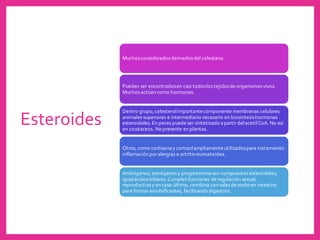 Esteroides
Muchos considerados derivadosdel colestano.
Pueden ser encontradosen casi todoslos tejidosde organismos vivos.
Muchos actúan como hormonas.
Dentro grupo,colesterolimportantecomponente membranas celulares
animales superiores e intermediario necesario en biosíntesishormonas
esteroidales. En peces puede ser sintetizado apartir delacetilCoA. No así
en crustaceos. No presente en plantas.
Otros, como cortisonay cortisolampliamenteutilizadospara tratamiento
inflamación poralergias o artritisreumatoidea.
Andrógenos, estrógenos y progesteronason compuestos esteroidales,
igualácidos biliares.Cumplen funciones deregulación sexual,
reproductivo y en caso último, combina con sales de sodio en intestino
para formar emulsificantes, facilitando digestión.
 