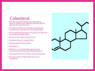 Colesterol
• Nombre procede del griego kole (bilis)y
stereos (sólido),por haberse identificado en
cálculosde vesícula biliar
• El colesterol forma parte estructural de las
membranasa lasque confiere estabilidad.
• Es la molécula base que sirve para la síntesisde
casi todos losesteroides.
• Precursor de vitaminasA,D, E, K
• Componente principalde bilis.
• Solo presente en animales.
• No calórico
• Debido a su insolubilidad agua circula
exclusivamente asociado a lipoproteínas.
• Solo presente en animales,nunca en plantas.
• No esencial en vertebrados pero si en
crustáceos.
 