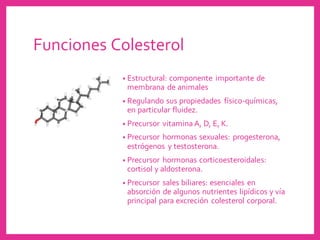 Funciones Colesterol
• Estructural: componente importante de
membrana de animales
• Regulando sus propiedades físico-químicas,
en particular fluidez.
• Precursor vitaminaA, D, E, K.
• Precursor hormonas sexuales: progesterona,
estrógenos y testosterona.
• Precursor hormonas corticoesteroidales:
cortisol y aldosterona.
• Precursor sales biliares: esenciales en
absorción de algunos nutrientes lipídicos y vía
principal para excreción colesterol corporal.
 