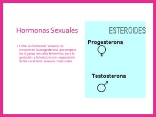 HormonasSexuales
• Entre las hormonas sexuales se
encuentran la progesterona que prepara
los órganos sexuales femeninos para la
gestación y la testosterona responsable
de los caracteres sexuales masculinos
 