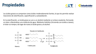 Los ácidos grasos se comportan como ácidos moderadamente fuertes, lo que les permite realizar
reacciones de esterificación, saponificación y autooxidación.
En la esterificación, un ácido graso se une a un alcohol mediante un enlace covalente, formando
un éster y liberándose una molécula de agua. Mediante hidrólisis (hirviendo con ácidos o bases),
el éster se rompe y da lugar de nuevo al ácido graso y al alcohol.
 