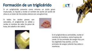 Si un acilglicérido presenta como mínimo un ácido graso
insaturado, es líquido y recibe el nombre de aceite (el aceite de
oliva es un éster de tres ácidos oleicos con una glicerina).
Si todos los ácidos grasos son
saturados, el acilglicérido es sólido y
recibe el nombre de sebo (la grasa de
buey, de caballo o de cabra).
Si el acilglicérido es semisólido, recibe el
nombre de manteca, como la grasa de
cerdo. En los animales de sangre fría y en
los vegetales hay aceites, y en los
animales de sangre caliente hay sebos o
mantecas.
 