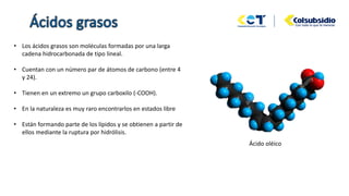 • Los ácidos grasos son moléculas formadas por una larga
cadena hidrocarbonada de tipo lineal.
• Cuentan con un número par de átomos de carbono (entre 4
y 24).
• Tienen en un extremo un grupo carboxilo (-COOH).
• En la naturaleza es muy raro encontrarlos en estados libre
• Están formando parte de los lípidos y se obtienen a partir de
ellos mediante la ruptura por hidrólisis.
Ácido oléico
 