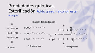 Propiedades químicas:
Esterificación Ácido graso + alcohol: ester
+ agua
 