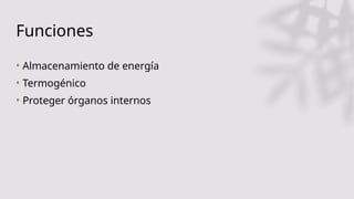 Funciones
• Almacenamiento de energía
• Termogénico
• Proteger órganos internos
 